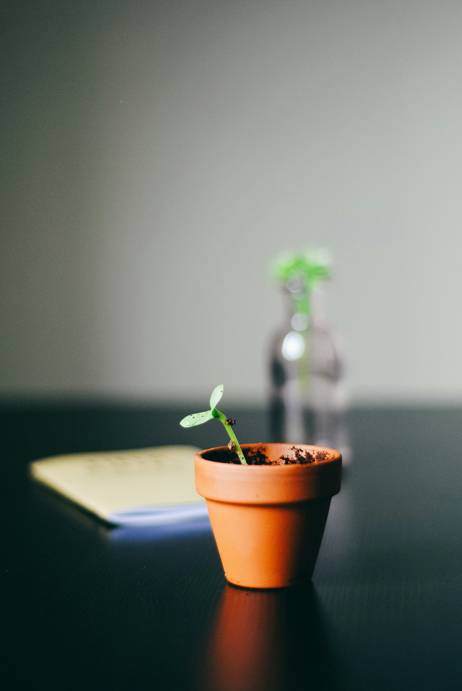 10 Practical Tips for Frugal Living