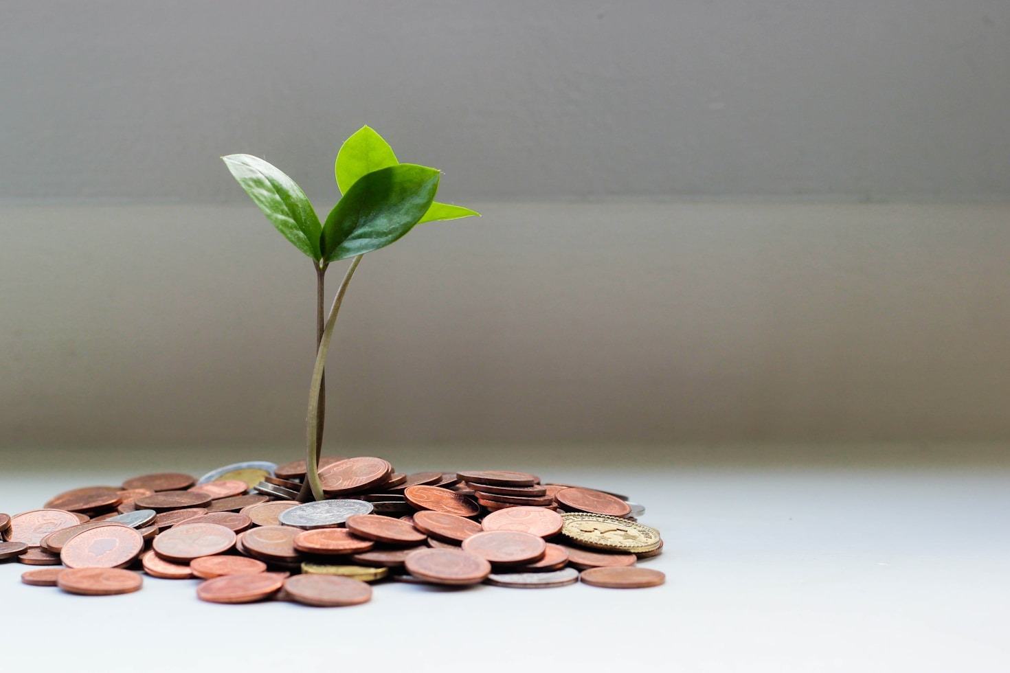 How Frugality Enhances Your Personal Growth
